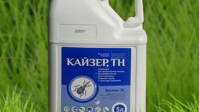 Кайзер протравитель: инструкция по применению инсектицида и пестицида, нормы расхода