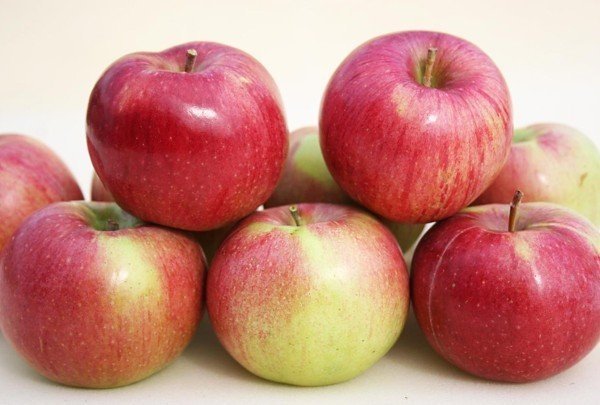 Саженцы яблоня анис полосатый