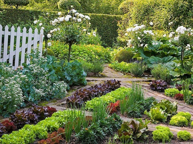 Красивый сад и огород