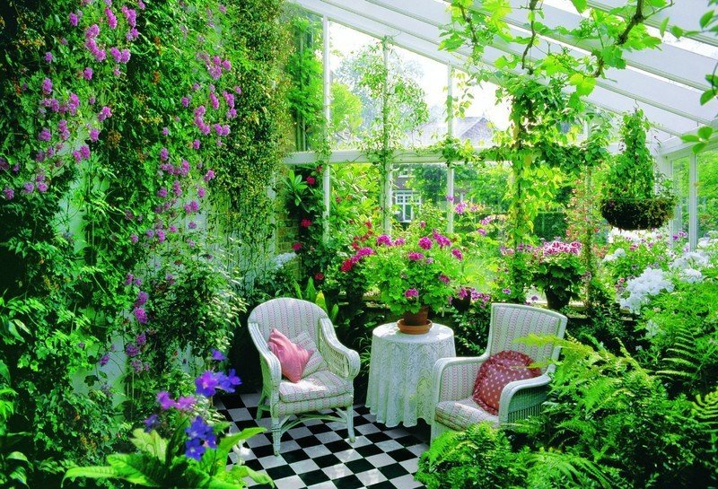 Зимний сад в доме дизайн