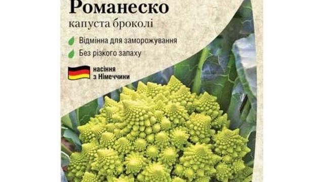 О капусте Романеско: описание и характеристика гибридного сорта, выращивание