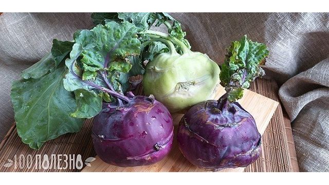Кольраби: полезные свойства капусты и рецепты приготовления