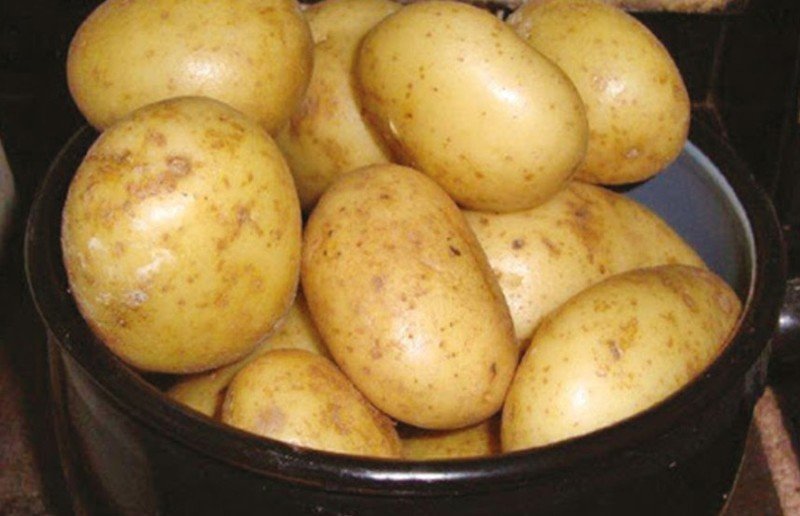 Картофель сорт никулинский