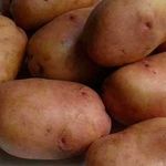 Обзор лучших сортов картофеля, рекомендуемых к выращиванию в средней полосе России