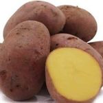 Знаменитый во всем мире немецкий картофель — Романце