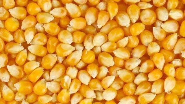 Какие продукты делают из кукурузы
