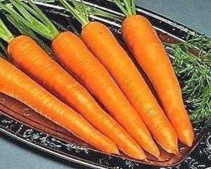 Морковь витаминная гавриш