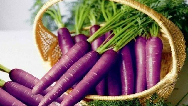 Почему морковка стала оранжевой? До 19 века морковь была фиолетовой!