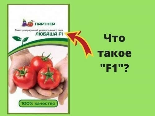 Агрофирма партнёр томаты черри