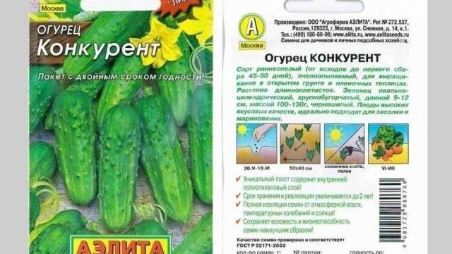 Сорт огурцов Конкурент: характеристика и описание, особенности выращивания, фото