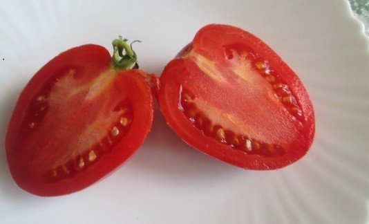 Заболевания томатов