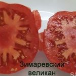 Томат «Красный великан»: урожайный и продуктивный сорт