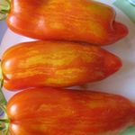 Томат Перцевидный полосатый: описание сорта, советы по выращиванию, отзывы