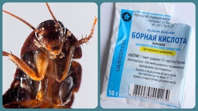 Средство от тараканов с борной кислотой