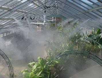 Система туманообразования для теплиц