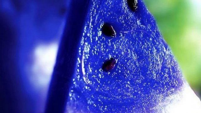 Синий арбуз: существует ли плод с синим или фиолетовым цветом мякоти