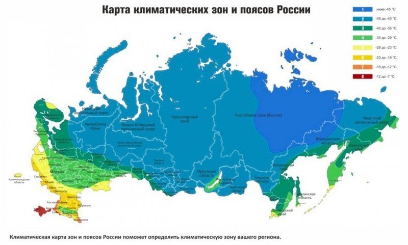 Климатические зоны россии карта зимостойкости