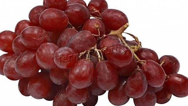 9 лучших сортов винограда без косточек название описание как размножается