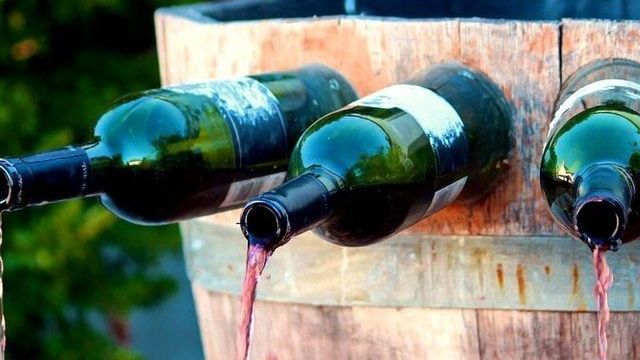 Молдавские вина: как выбрать, названия, бренды, винные экскурсии