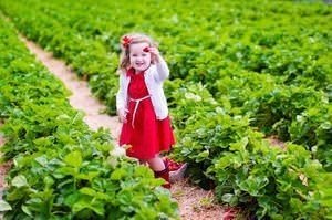 Девочка собирает землянику