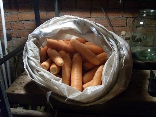 Хранение моркови в мешках