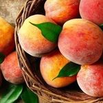 Как правильно в домашних условиях хранить персики на зиму