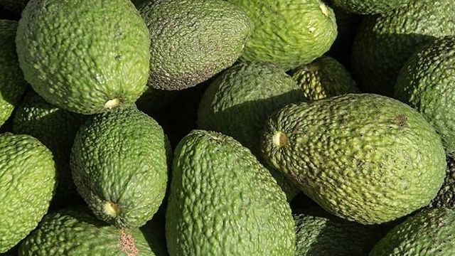 Секреты дозревания авокадо в домашних условиях