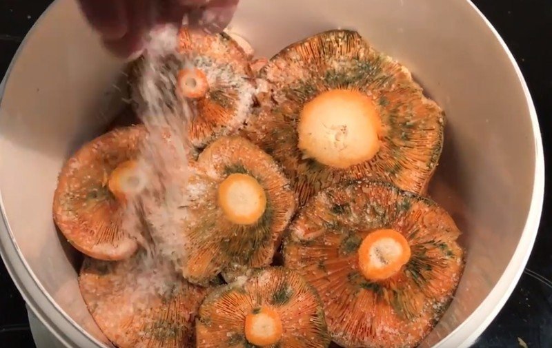 Рыжики соленые грибы чем заправлять
