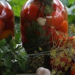 Соленые помидоры: 10 вкусных и простых рецептов на зиму