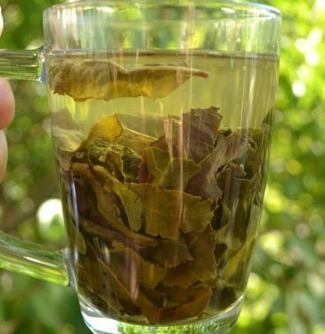 Ферментированный чай из листьев вишни