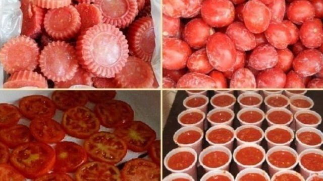 Как заморозить помидоры на зиму свежими и можно ли это делать